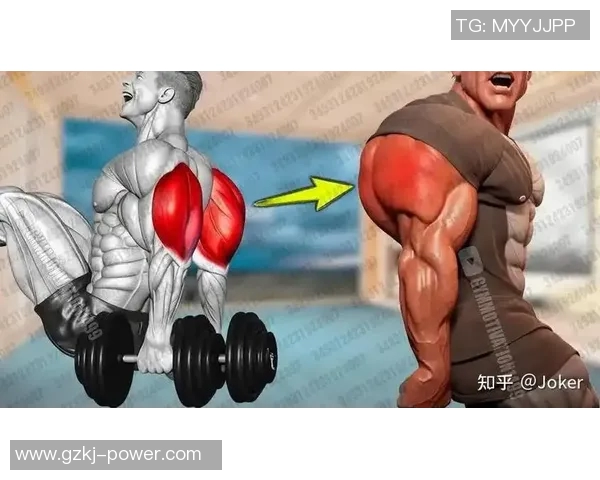 哑铃训练全攻略如何有效锻炼肌肉提升力量与线条感