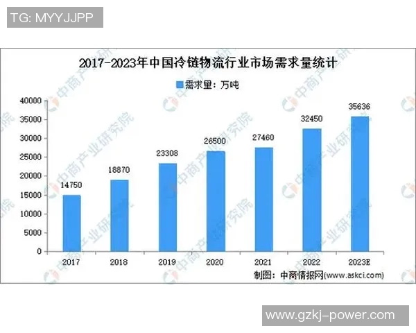 英超体育用品在中国市场的销售策略与发展前景分析